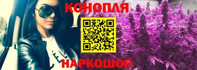 сатива Малгобек
