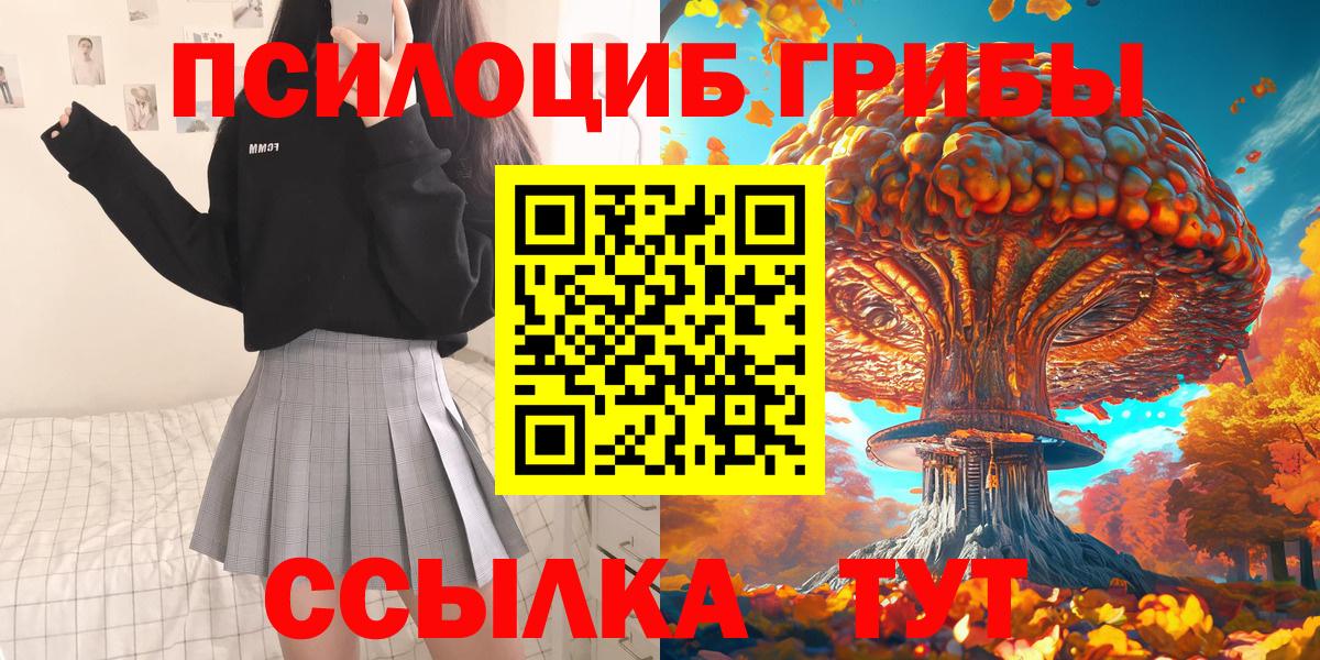 Галлюциногенные грибы Psilocybe Киржач