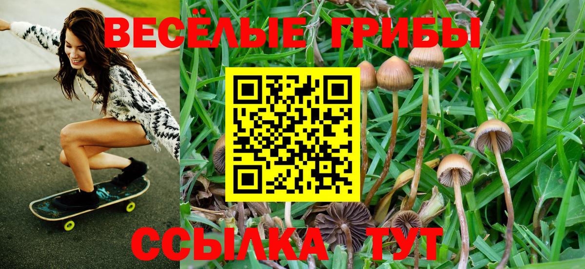 Киржач  Галлюциногенные грибы MAGIC MUSHROOMS  Вход с VPN 