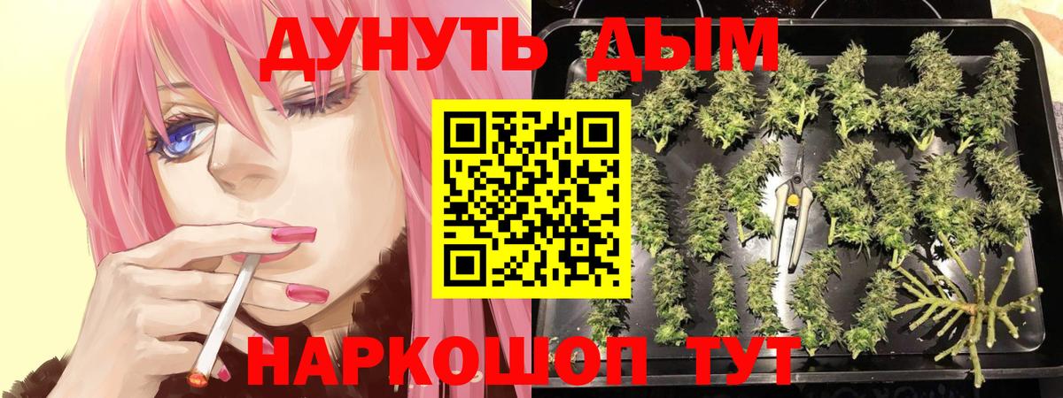 Бошки марихуана THC 21%  Вход с VPN  Бошки марихуана LSD WEED  Киржач  Шишки марихуана Ganja  Конопля ГИДРОПОН 